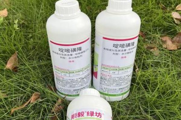 谷子可以使用哪些除草剂,单嘧磺隆、扑草净等药物均可选择