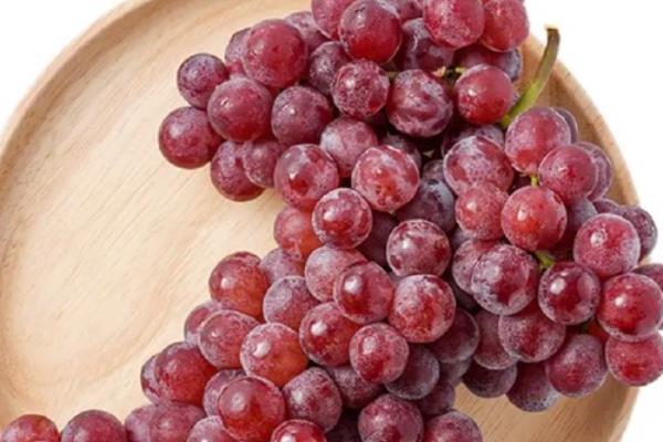 早熟的葡萄品种，有维多利亚、香峰等