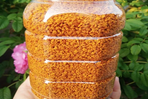 茶花粉和蜂蜜的饮用方法,按一定比例调匀后再冲服