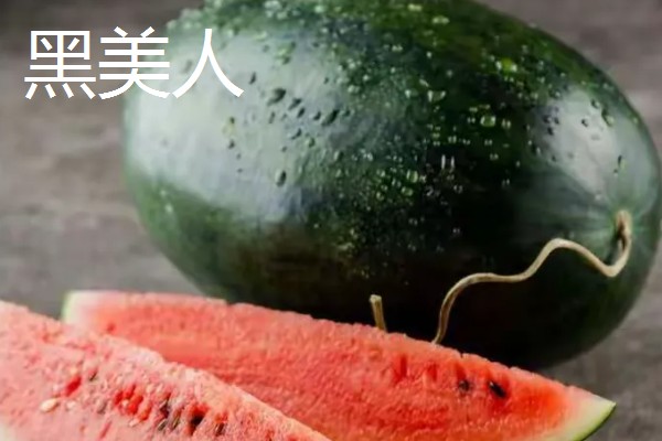黑美人西瓜怎么种植,定植后每周追肥一次