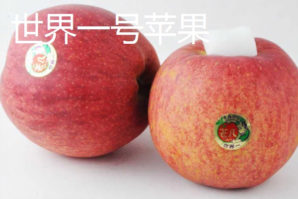受欢迎的进口苹果品种，有日本千雪、世界一号等