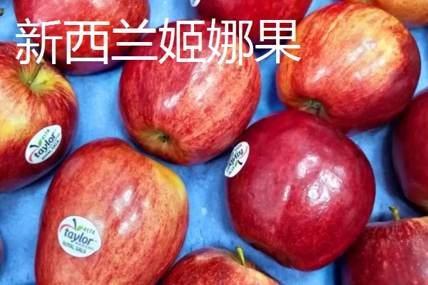 受欢迎的进口苹果品种，有日本千雪、世界一号等