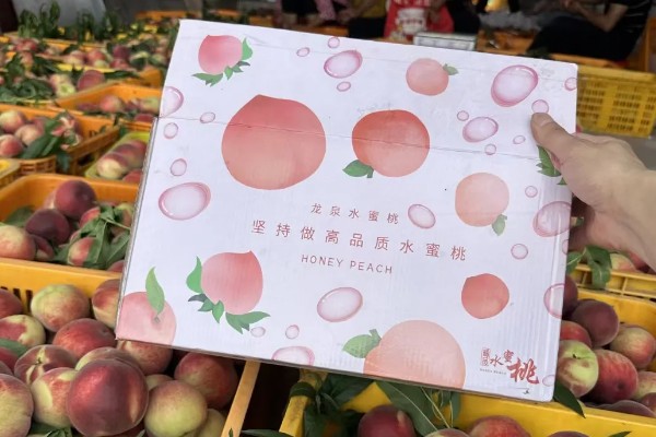 龙泉驿水蜜桃可以在哪里买,可以线上或线下购买