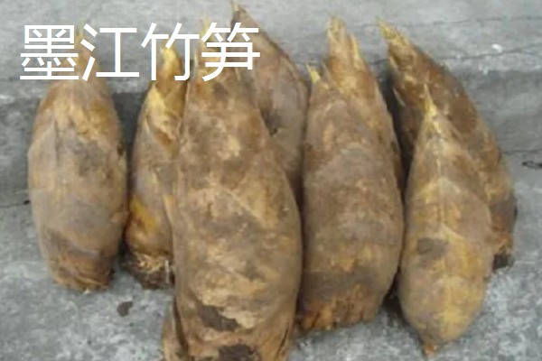 云南省墨江县的特产,墨江咖啡深受消费者喜爱