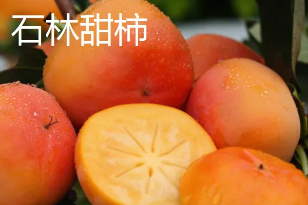 云南省墨江县的特产,墨江咖啡深受消费者喜爱