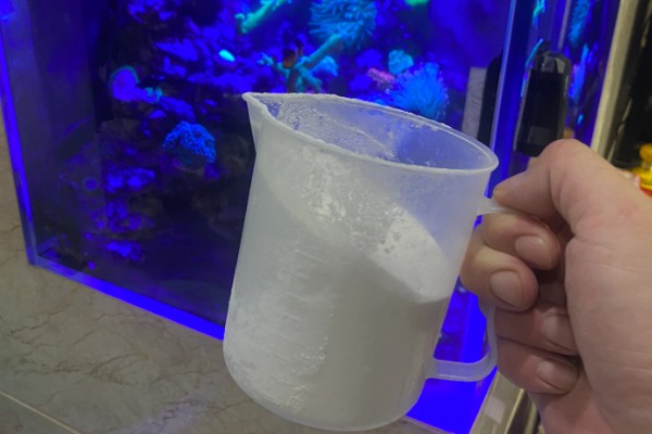 为什么鱼要死了用盐可以救活,是因为盐对鱼儿产生了刺激