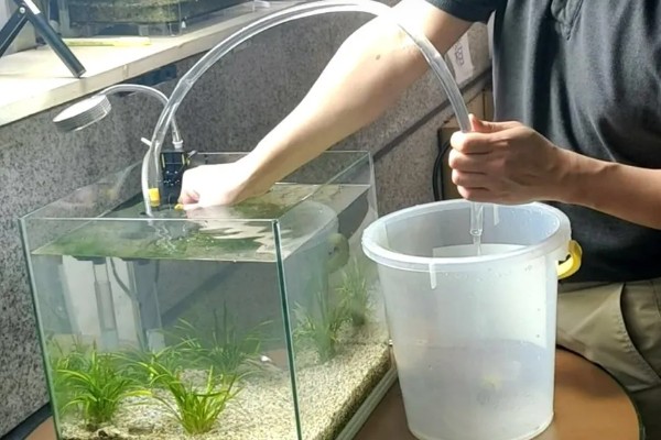 为什么鱼要死了用盐可以救活,是因为盐对鱼儿产生了刺激