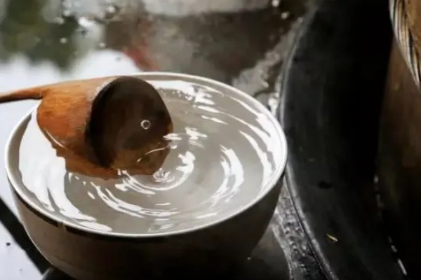引诱马蜂怎么配制诱蜂水,要将蜂王作为药引