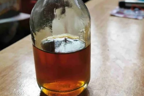 引诱马蜂怎么配制诱蜂水,要将蜂王作为药引
