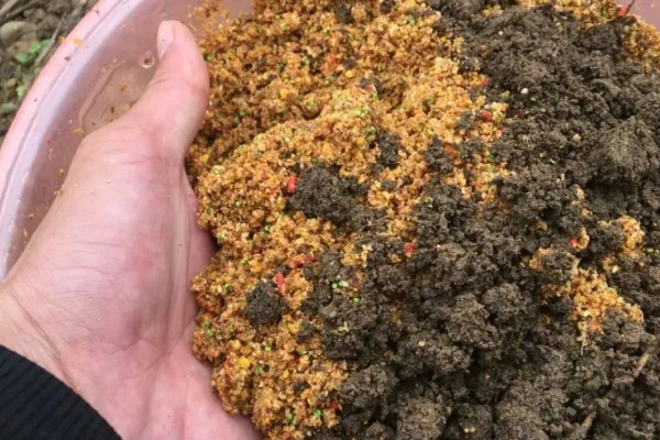 用蚯蚓土打窝可以吗,用蚯蚓土打窝效果好