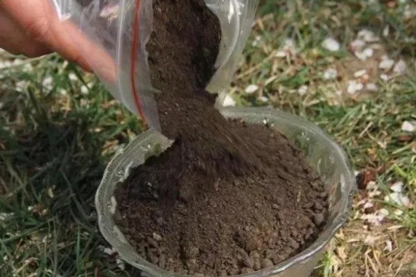 用蚯蚓土打窝可以吗,用蚯蚓土打窝效果好