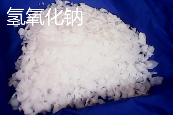 非洲猪瘟病毒的存活时间,取决于存在环境
