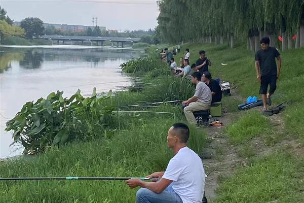 初夏钓鱼的技巧,建议在窝料中加一些红虫、虾粉等