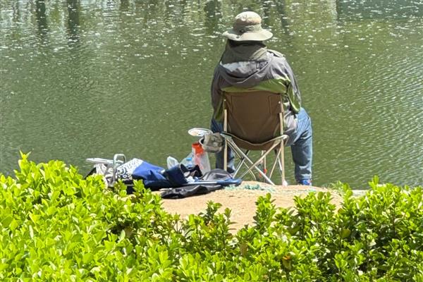 初夏钓鱼的技巧,建议在窝料中加一些红虫、虾粉等