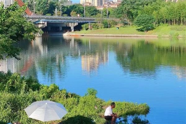 初夏钓鱼的技巧,建议在窝料中加一些红虫、虾粉等