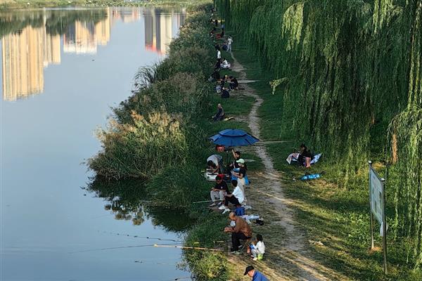 初夏钓鱼的技巧,建议在窝料中加一些红虫、虾粉等