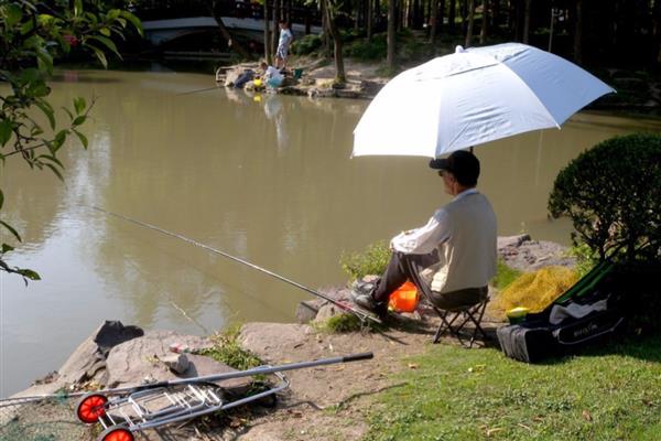 初夏钓鱼的技巧,建议在窝料中加一些红虫、虾粉等
