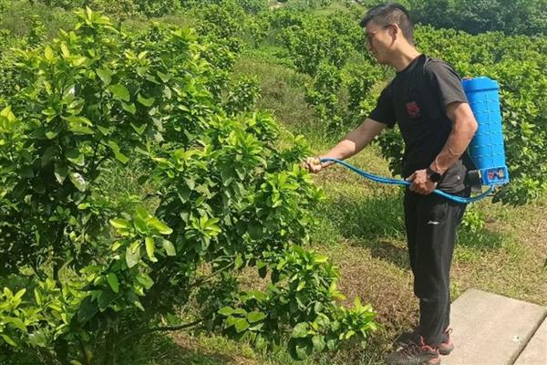 吡虫啉对鱼有没有害，通常对于鱼没有害