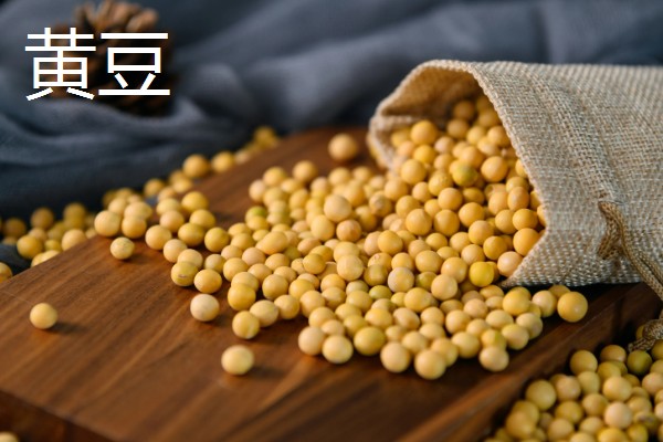 常见的豆类食物，包括黄豆、绿豆、蚕豆等品种