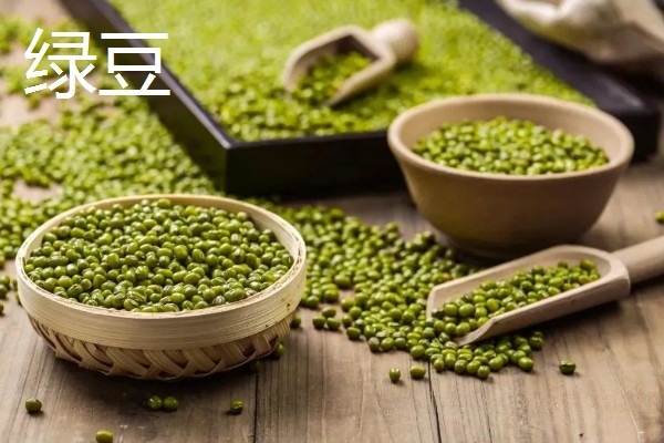 常见的豆类食物，包括黄豆、绿豆、蚕豆等品种