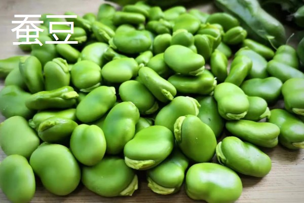 常见的豆类食物，包括黄豆、绿豆、蚕豆等品种
