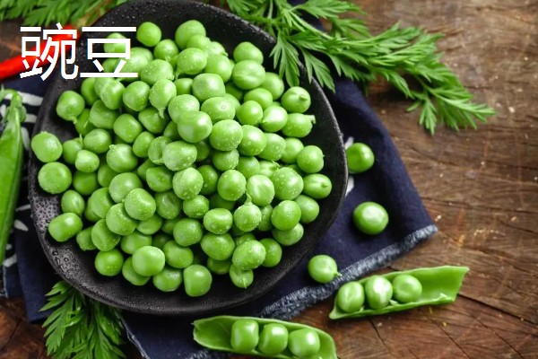 常见的豆类食物，包括黄豆、绿豆、蚕豆等品种