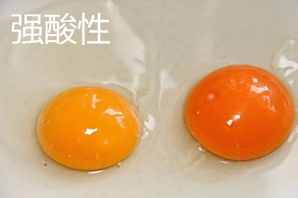常见的豆类食物，包括黄豆、绿豆、蚕豆等品种