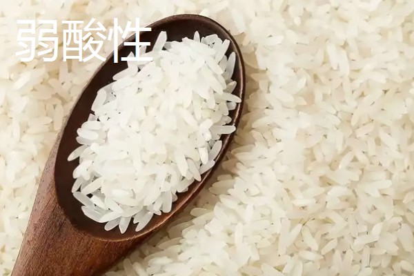 常见的豆类食物，包括黄豆、绿豆、蚕豆等品种