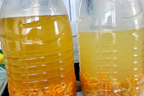 农用酵素能代替肥料使用吗，不可以完全代替肥料