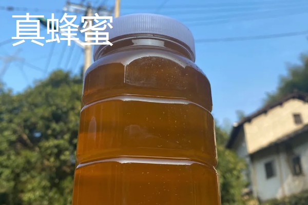 判断真假蜂蜜的方法,假蜂蜜有糖浆味或香精味