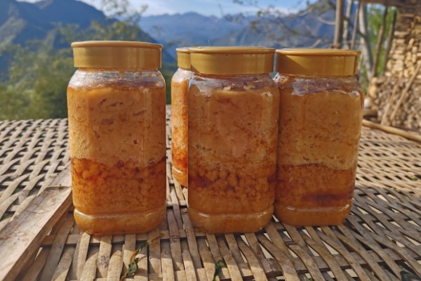 判断真假蜂蜜的方法,假蜂蜜有糖浆味或香精味