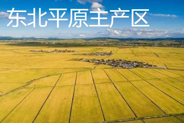 我国农业的主产区，粮食主产区是河南、河北、山东