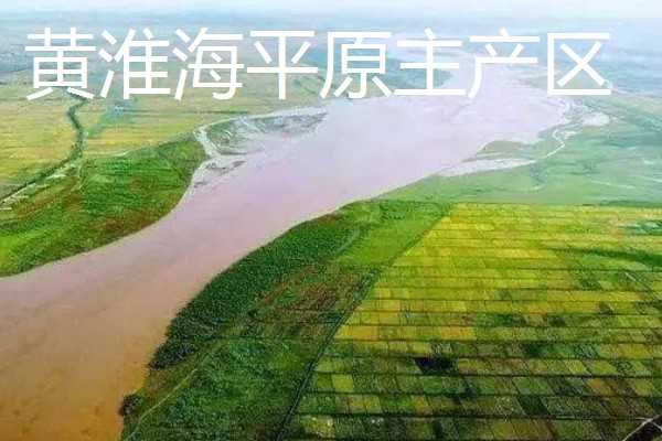 我国农业的主产区，粮食主产区是河南、河北、山东