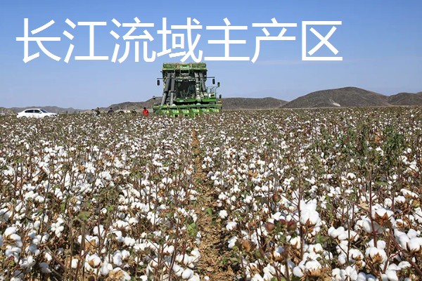 我国农业的主产区，粮食主产区是河南、河北、山东