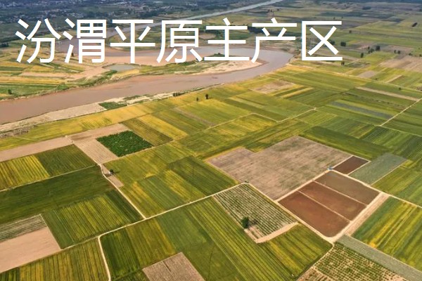我国农业的主产区，粮食主产区是河南、河北、山东