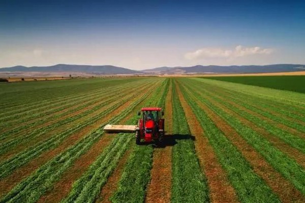 我国农业的主产区，粮食主产区是河南、河北、山东