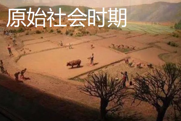 我国农业的主产区，粮食主产区是河南、河北、山东