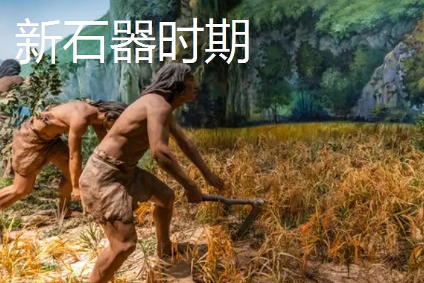 我国农业的主产区，粮食主产区是河南、河北、山东