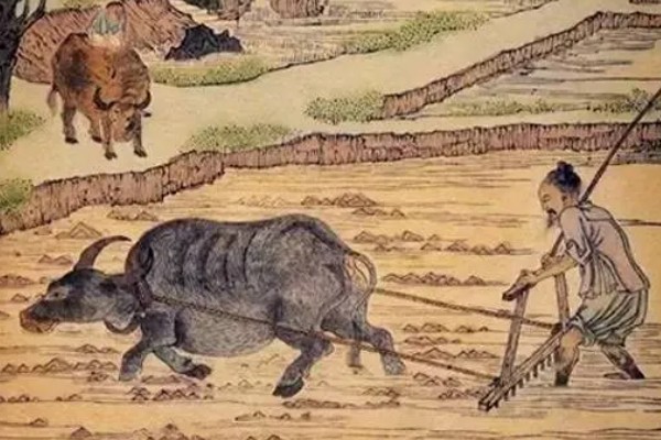 我国农业的主产区，粮食主产区是河南、河北、山东