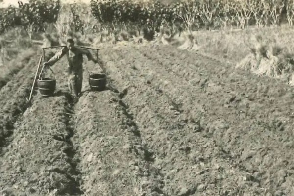 我国农业的主产区，粮食主产区是河南、河北、山东
