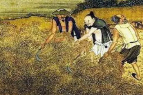 我国农业的主产区，粮食主产区是河南、河北、山东