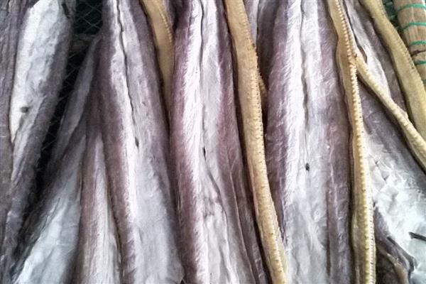 鳗鱼干的保存方法,放在通风、低温、避光的地方可以保存一年