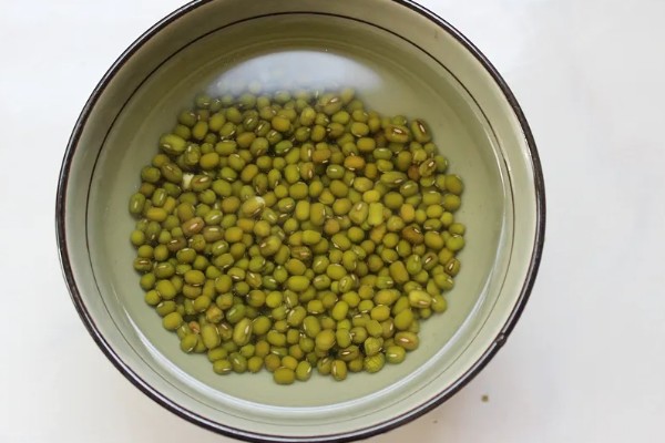 绿豆种成豆芽的方法，选用当年生或隔年生的新鲜豆种