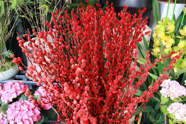 真花怎么养的持久一点，要合理控制水分的蒸发