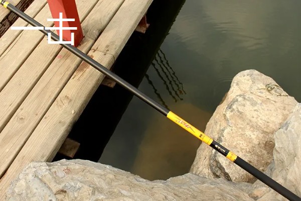黑坑垂钓用轻麸还是雪花粉，根据水情、鱼情、天气等因素做选择