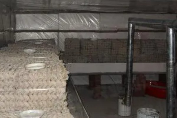 养蝎子要投资多少，饲料成本每斤3元左右