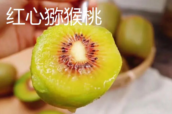 翠香猕猴桃和徐香猕猴桃有什么区别，产地和形态等方面不同