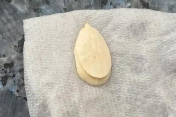 佛手瓜怎么繁殖，主要有以下三种方式