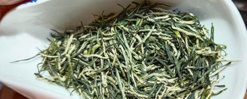 古丈毛尖属于哪种茶，是一种绿茶