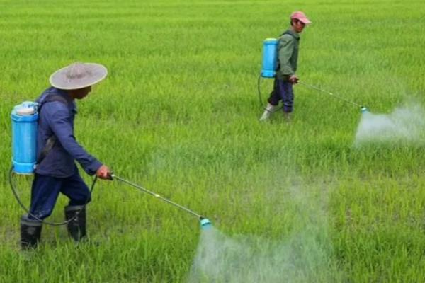 噻唑膦是杀虫剂吗,可防治根结线虫、胞囊线虫等害虫